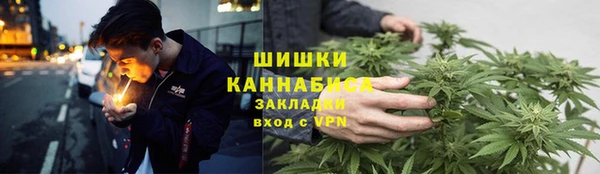 крисы Армянск