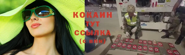 крисы Армянск