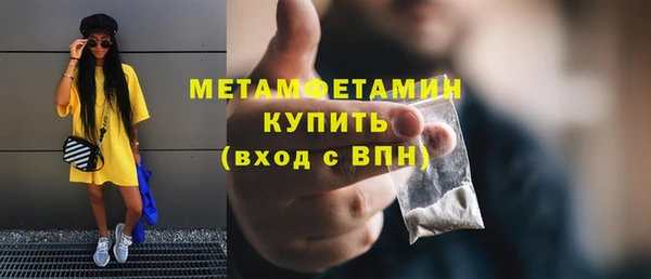 прущие грибы Россошь