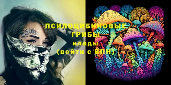 крисы Армянск