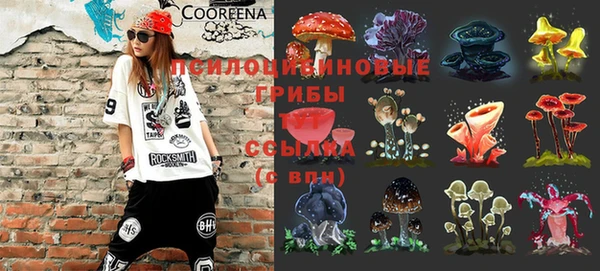 крисы Армянск