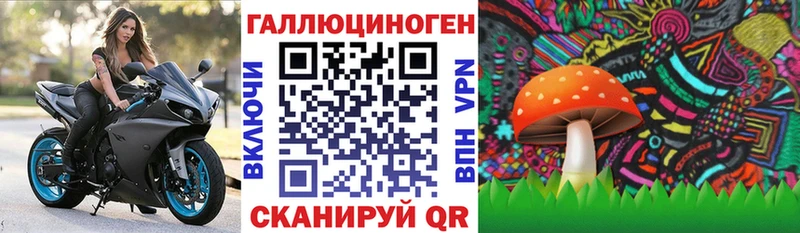 OMG как зайти  Усть-Илимск  Псилоцибиновые грибы мицелий  магазин   
